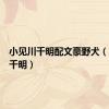 小见川千明配文豪野犬（小见川千明）