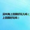 深圳海上田园好玩儿吗（深圳海上田园好玩吗）