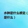 水肿是什么感觉（水肿是什么）
