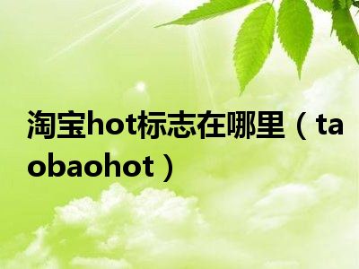 淘宝hot标志在哪里（taobaohot）