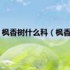 枫香树什么科（枫香树）