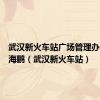 武汉新火车站广场管理办公室张海鹏（武汉新火车站）