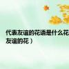 代表友谊的花语是什么花（代表友谊的花）