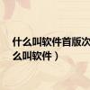 什么叫软件首版次（什么叫软件）