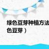 绿色豆芽种植方法（绿色豆芽）