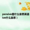 pensive是什么意思英语（pensive什么意思）