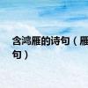 含鸿雁的诗句（雁的诗句）