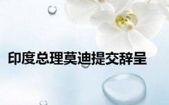 印度总理莫迪提交辞呈