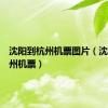 沈阳到杭州机票图片（沈阳到杭州机票）