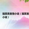 搞笑类言情小说（搞笑言情完结小说）