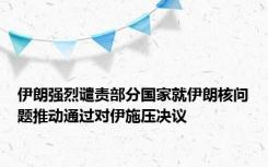 伊朗强烈谴责部分国家就伊朗核问题推动通过对伊施压决议