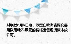 财联社6月6日电，欧盟在欧洲能源交易所以每吨71欧元的价格出售现货碳排放许可。