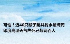 可怕！近40只猴子跳井找水被淹死 印度高温天气热死已超两百人