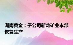 湖南黄金：子公司新龙矿业本部恢复生产