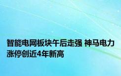 智能电网板块午后走强 神马电力涨停创近4年新高