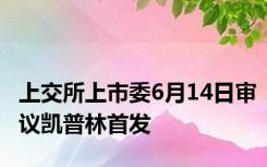 上交所上市委6月14日审议凯普林首发