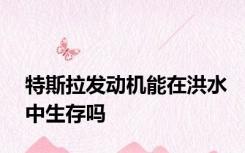 特斯拉发动机能在洪水中生存吗