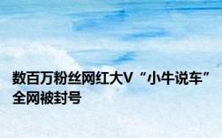 数百万粉丝网红大V“小牛说车”全网被封号