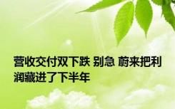 营收交付双下跌 别急 蔚来把利润藏进了下半年