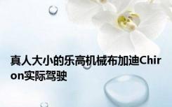 真人大小的乐高机械布加迪Chiron实际驾驶