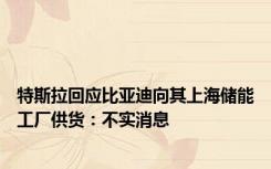 特斯拉回应比亚迪向其上海储能工厂供货：不实消息
