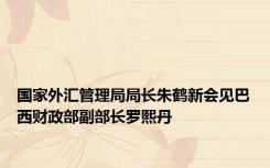 国家外汇管理局局长朱鹤新会见巴西财政部副部长罗熙丹