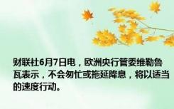 财联社6月7日电，欧洲央行管委维勒鲁瓦表示，不会匆忙或拖延降息，将以适当的速度行动。