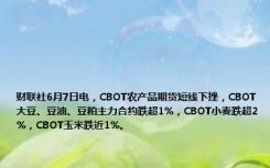 财联社6月7日电，CBOT农产品期货短线下挫，CBOT大豆、豆油、豆粕主力合约跌超1%，CBOT小麦跌超2%，CBOT玉米跌近1%。