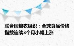 联合国粮农组织：全球食品价格指数连续3个月小幅上涨