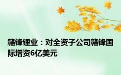 赣锋锂业：对全资子公司赣锋国际增资6亿美元