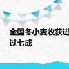 全国冬小麦收获进度已过七成