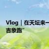 Vlog｜在天坛来一场“吉象跑”