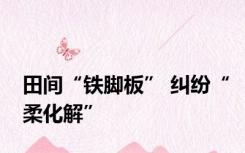 田间“铁脚板” 纠纷“柔化解”