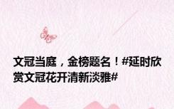 文冠当庭，金榜题名！#延时欣赏文冠花开清新淡雅#