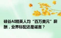 硅谷AI精英人均“百万美元”薪酬，业界标配还是谣言？