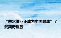 “塞尔维亚正成为中国附庸”？武契奇反驳