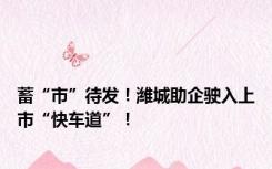 蓄“市”待发！潍城助企驶入上市“快车道”！