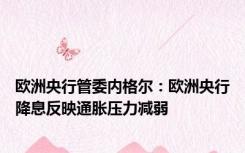 欧洲央行管委内格尔：欧洲央行降息反映通胀压力减弱