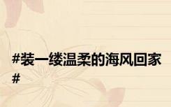 #装一缕温柔的海风回家#