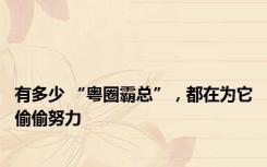 有多少 “粤圈霸总”，都在为它偷偷努力