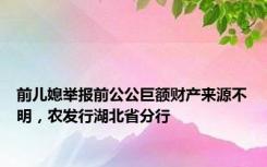 前儿媳举报前公公巨额财产来源不明，农发行湖北省分行