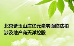 北京紫玉山庄亿元豪宅面临法拍 涉及地产商天洋控股