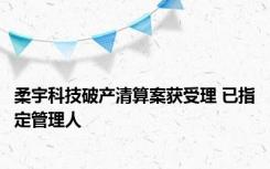 柔宇科技破产清算案获受理 已指定管理人
