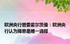 欧洲央行管委霍尔茨曼：欧洲央行认为降息是唯一选择