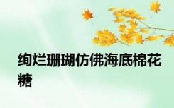 绚烂珊瑚仿佛海底棉花糖