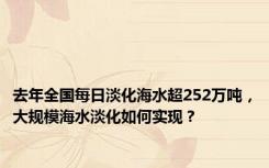 去年全国每日淡化海水超252万吨，大规模海水淡化如何实现？