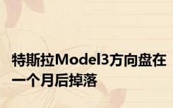 特斯拉Model3方向盘在一个月后掉落