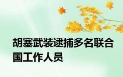 胡塞武装逮捕多名联合国工作人员