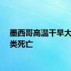 墨西哥高温干旱大量鱼类死亡