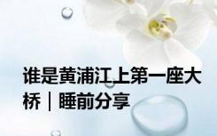 谁是黄浦江上第一座大桥｜睡前分享